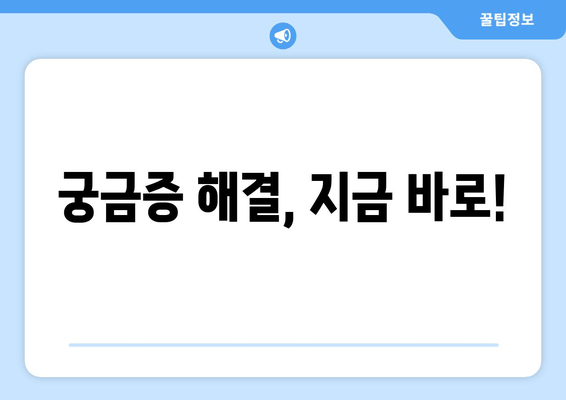 궁금증 해결, 지금 바로!