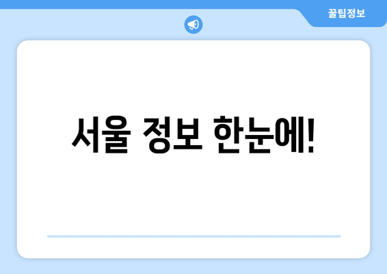 서울 정보 한눈에!