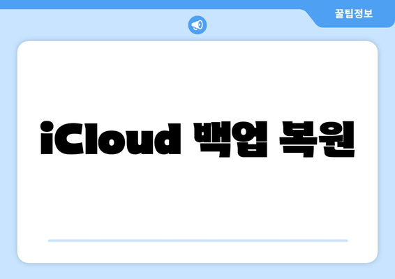 iCloud 백업 복원