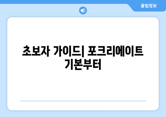 초보자 가이드| 포크리에이트 기본부터