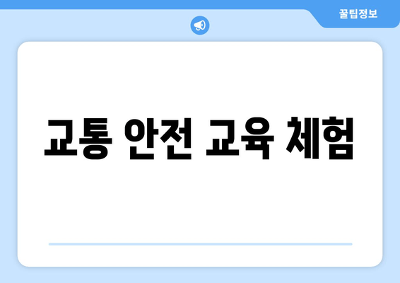 교통 안전 교육 체험