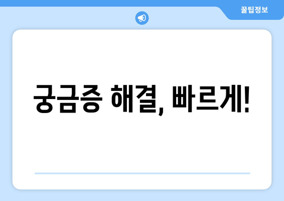 궁금증 해결, 빠르게!