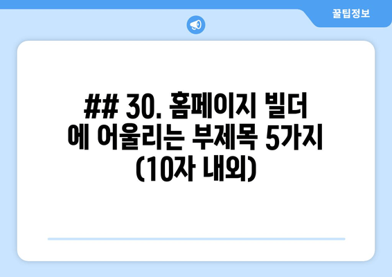 ## 30. 홈페이지 빌더 에 어울리는 부제목 5가지 (10자 내외)