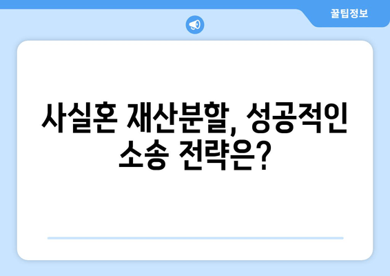 사실혼 재산분할 분쟁, 법적 대응 전략| 성공적인 결과를 위한 핵심 가이드 | 재산분할, 위자료, 소송, 법률 전문가