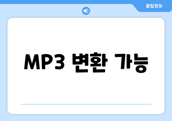 MP3 변환 가능