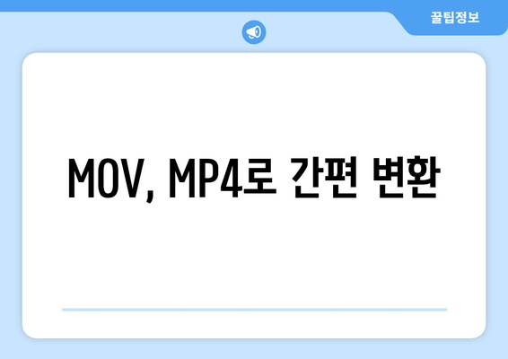 MOV, MP4로 간편 변환