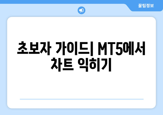 초보자 가이드| MT5에서 차트 익히기