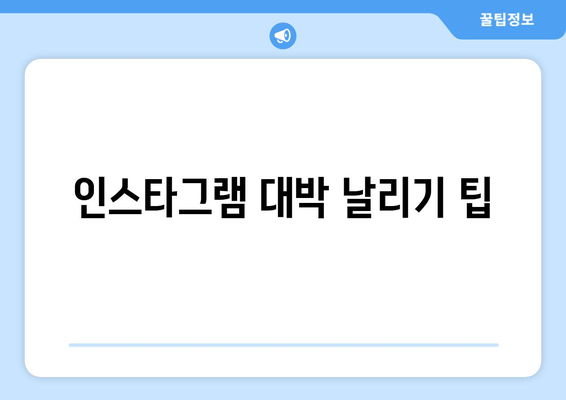 인스타그램 대박 날리기 팁