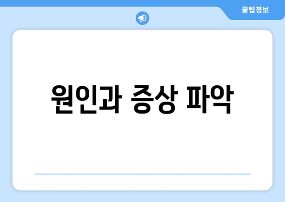 원인과 증상 파악