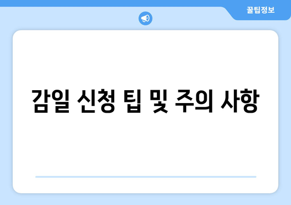 감일 신청 팁 및 주의 사항