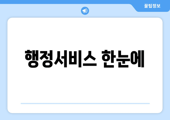 행정서비스 한눈에