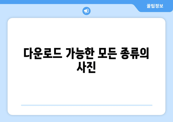 다운로드 가능한 모든 종류의 사진