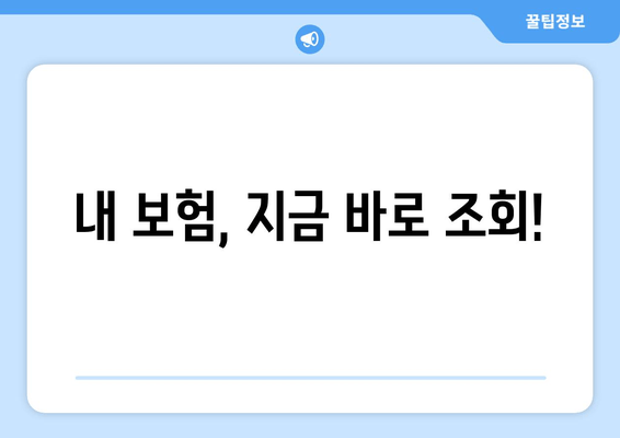 내 보험, 지금 바로 조회!