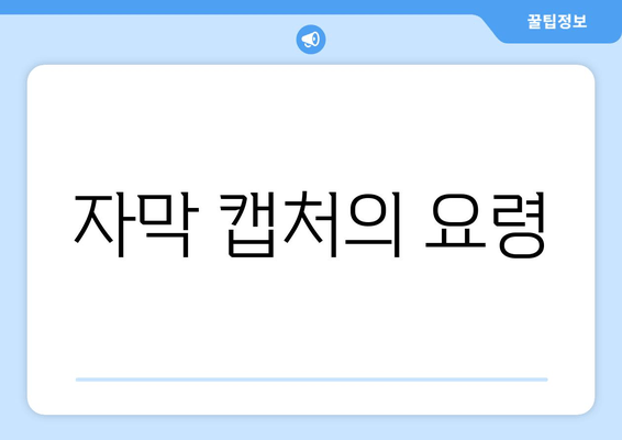 자막 캡처의 요령