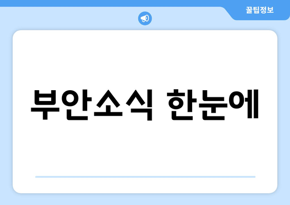 부안소식 한눈에