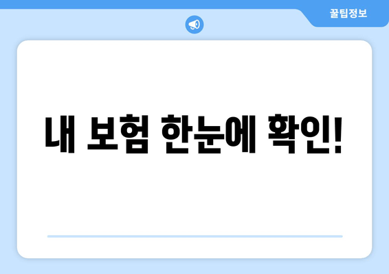 내 보험 한눈에 확인!