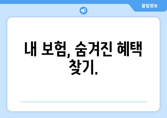 내 보험, 숨겨진 혜택 찾기.