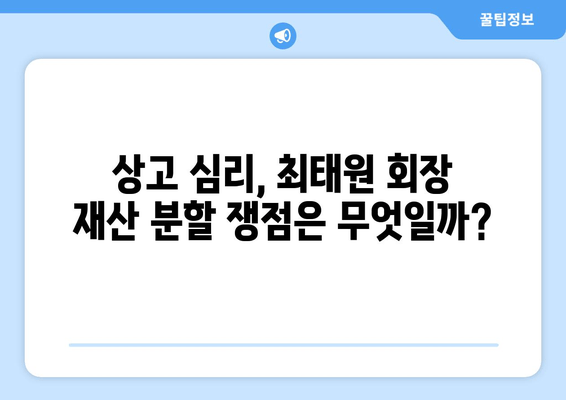 최태원 회장 상고 심리, 재산 분할 판단 오류 바로잡기| 쟁점과 전망 | 상속, 재산분할, 법률