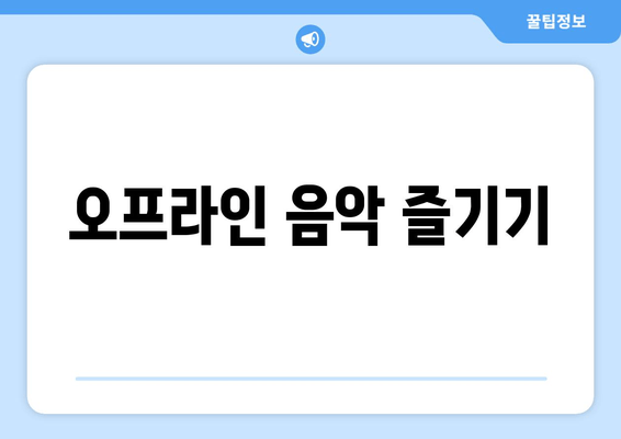 오프라인 음악 즐기기