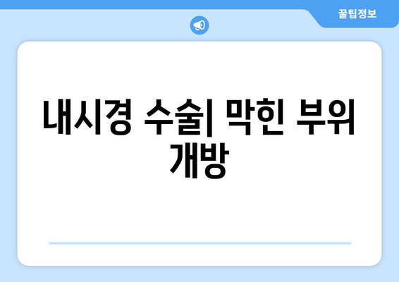 내시경 수술| 막힌 부위 개방