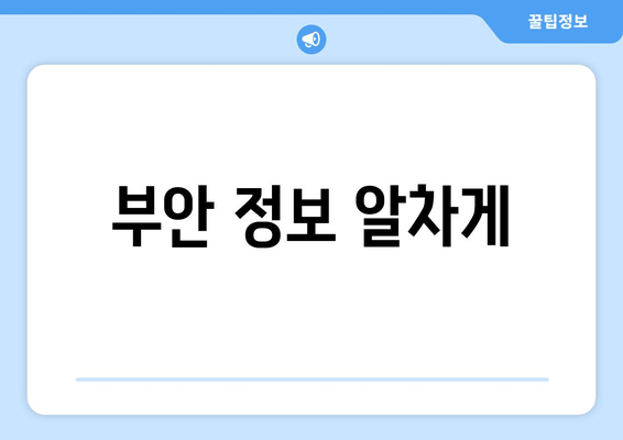 부안 정보 알차게