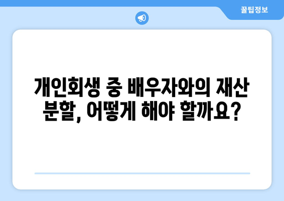 개인회생 중 배우자 소득, 재산 분할에 어떤 영향을 미칠까요? | 배우자 재산, 재산분할, 개인회생