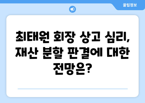 최태원 회장 상고 심리, 재산 분할 판단 오류 바로잡기| 쟁점과 전망 | 상속, 재산분할, 법률