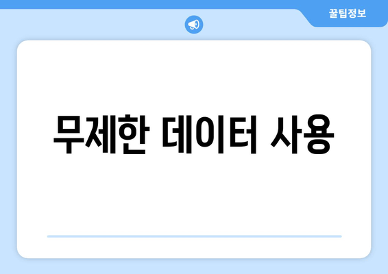 무제한 데이터 사용