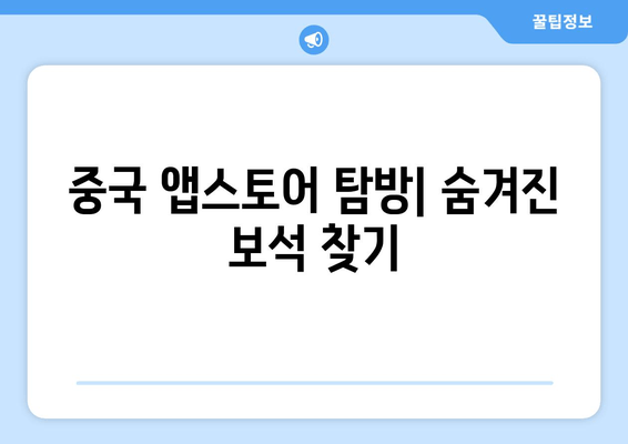 중국 앱스토어 탐방| 숨겨진 보석 찾기