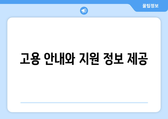 고용 안내와 지원 정보 제공