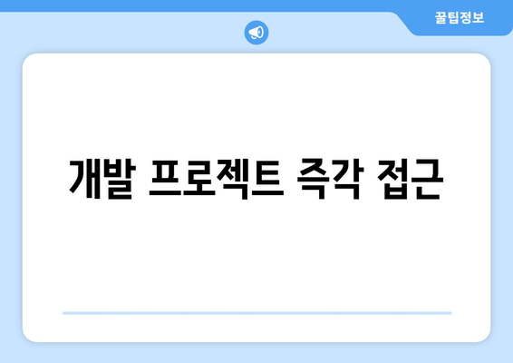 개발 프로젝트 즉각 접근