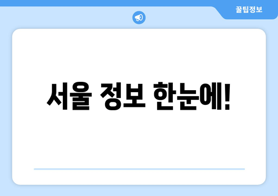 서울 정보 한눈에!