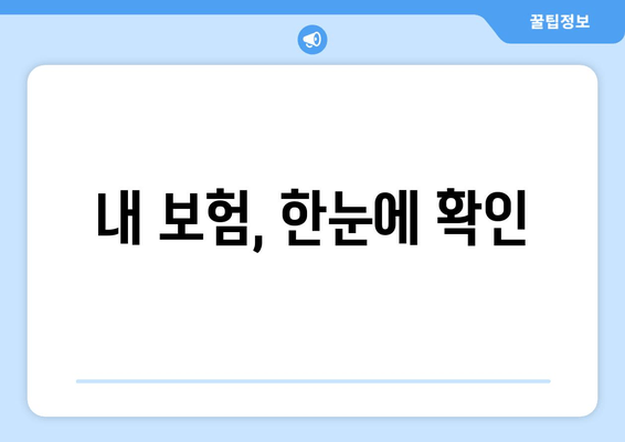 내 보험, 한눈에 확인