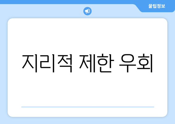 지리적 제한 우회