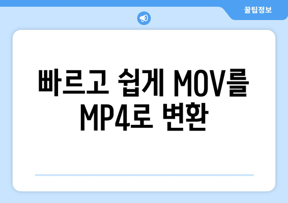 빠르고 쉽게 MOV를 MP4로 변환