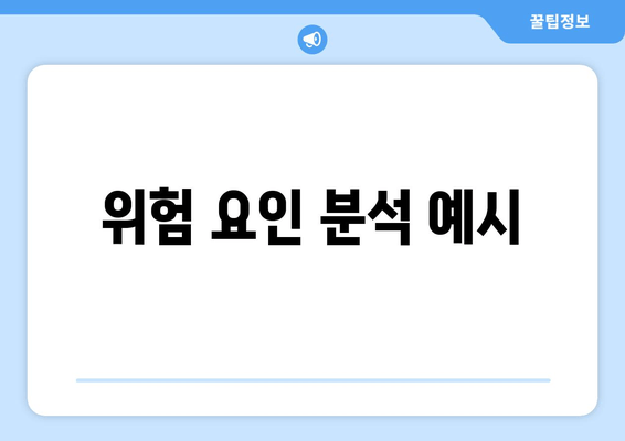 위험 요인 분석 예시