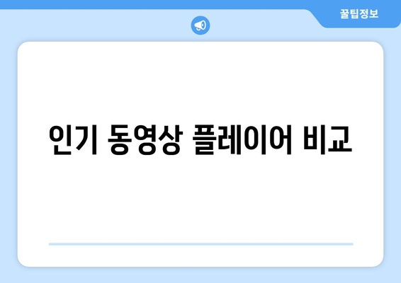 인기 동영상 플레이어 비교