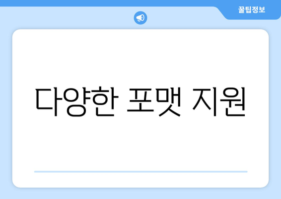 다양한 포맷 지원