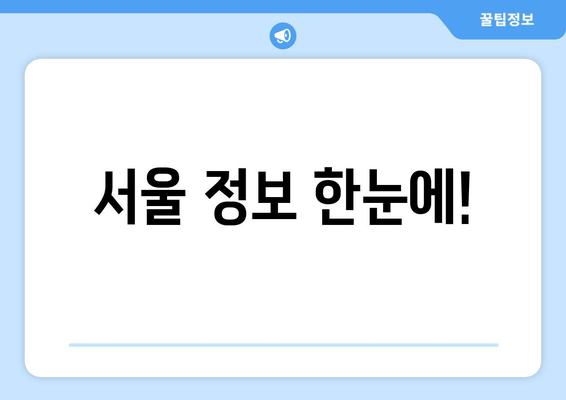 서울 정보 한눈에!