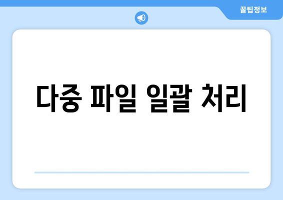 다중 파일 일괄 처리