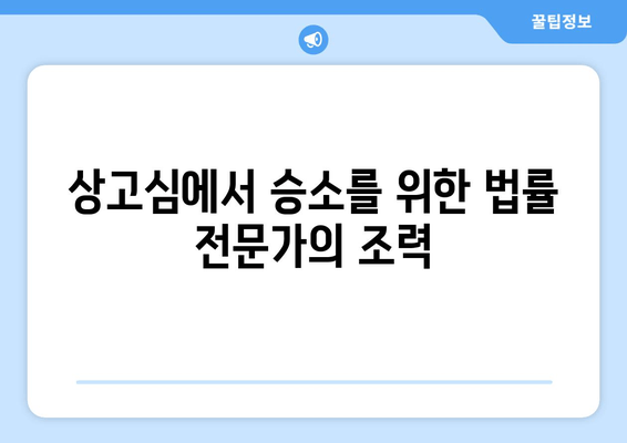 재산분할 법적 오류 발견! 상고심 대응 전략 & 성공 사례 | 재산분할, 상고심, 법률 전문가, 소송, 재판