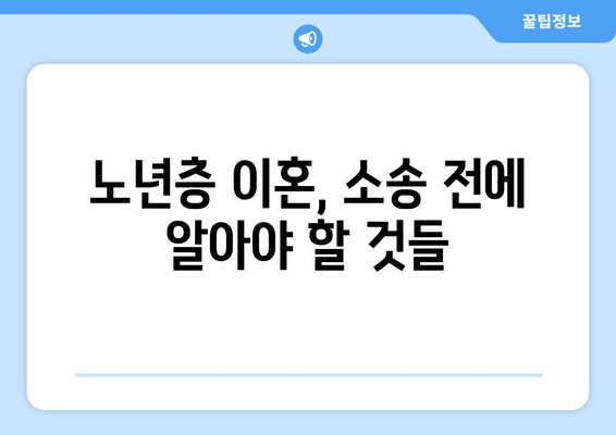 황혼 이혼, 재산 분할 소송 전략| 고령자의 권리 보호 가이드 | 노년층 이혼, 재산분할, 소송 준비, 법률 조언