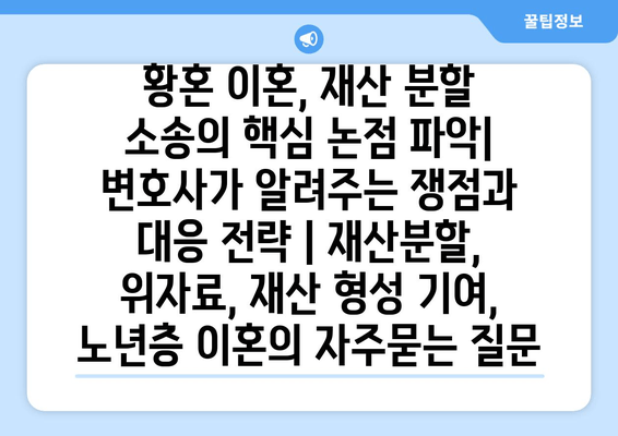 황혼 이혼, 재산 분할 소송의 핵심 논점 파악| 변호사가 알려주는 쟁점과 대응 전략 | 재산분할, 위자료, 재산 형성 기여, 노년층 이혼