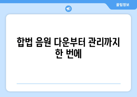 합법 음원 다운부터 관리까지 한 번에