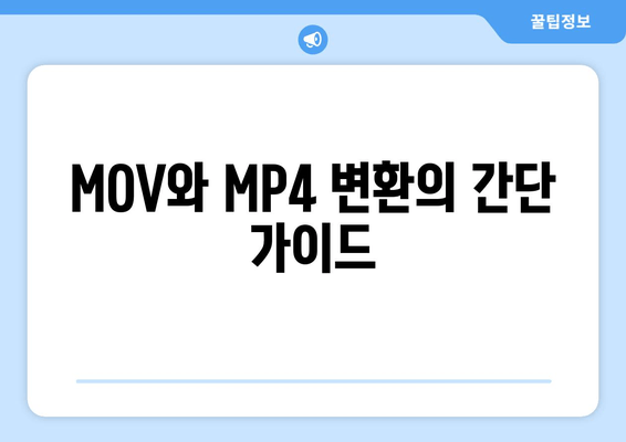 MOV와 MP4 변환의 간단 가이드