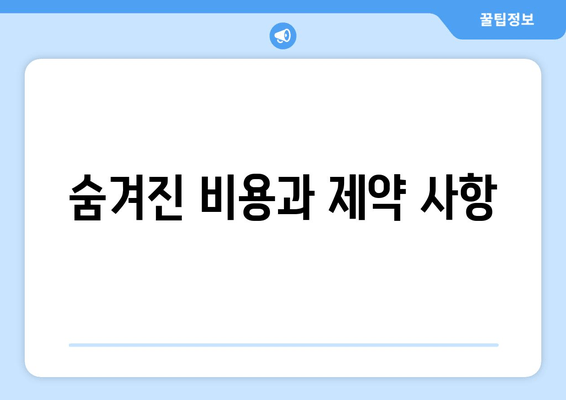 숨겨진 비용과 제약 사항