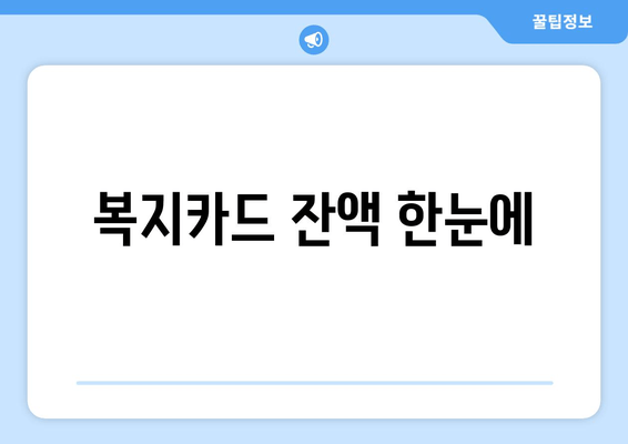 복지카드 잔액 한눈에