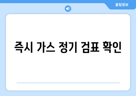 즉시 가스 정기 검표 확인