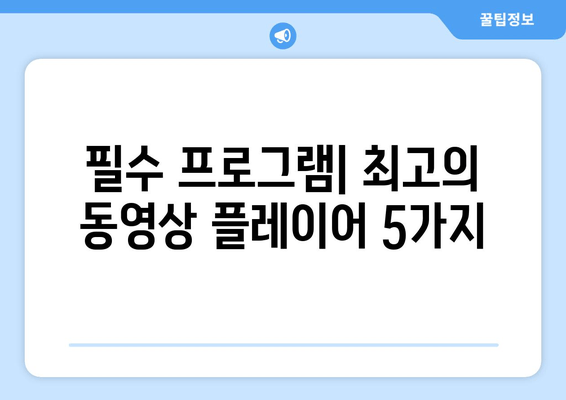 필수 프로그램| 최고의 동영상 플레이어 5가지