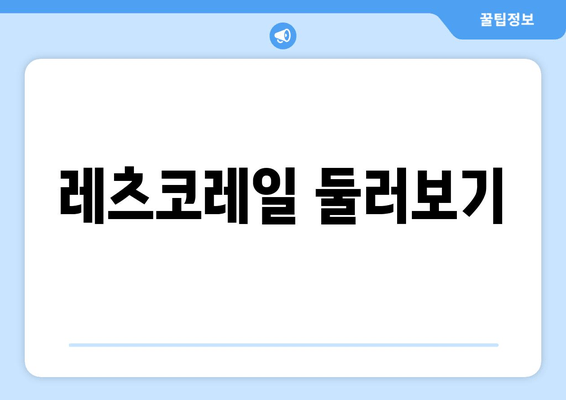 레츠코레일 둘러보기